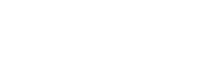 Stone Express Trucking