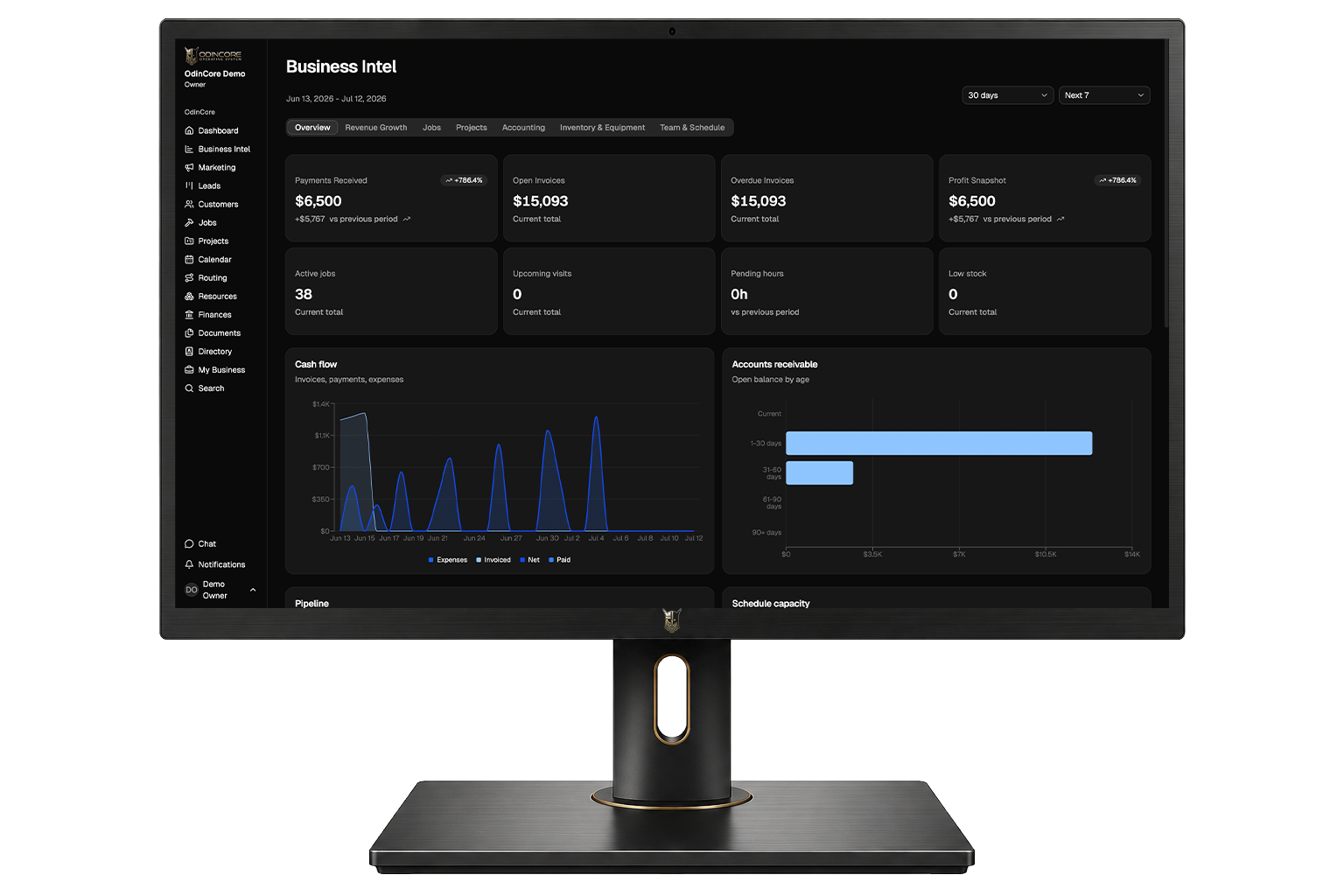 Demo account screenshot showing OdinCore Business Intel with KPIs, charts, and business performance views.